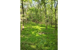 Hill Rd, PARIS, TN 38242