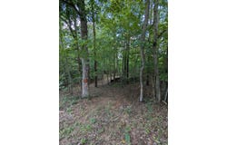 BURTON LAKE RD, CHATHAM, VA 24531