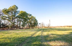 Honeysuckle lane, Oak Grove, AR 72660