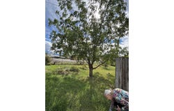 3198 Elm Avenue, Grand Junction, CO 81504