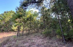301 Chaparral Lane, Mena, AR 71953
