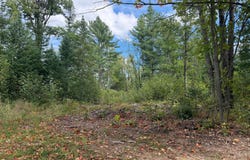 CATOR DR lot: 13, Minocqua, WI 54548