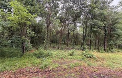 Pecan Tree Lane, Montgomery, TX 77316