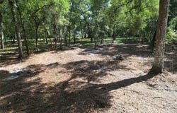 SE 30TH Avenue, SUMMERFIELD, FL 34491