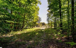 Ballard Road, Benzonia, MI 49616