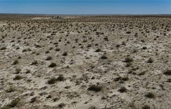 745 White Bird Road, Adelanto, CA 92301