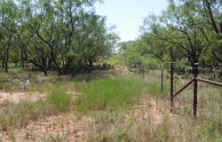 6245 HWY 83, Winters, TX 79567