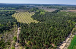 Kermit Road, Cobbtown, GA 30420