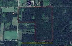 0VL S Mason Road, Ashley, MI 48806