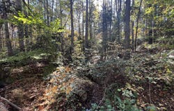 7400 Marye Rd, Spotsylvania Courthouse, VA 22551