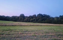 Polk Road 87, Mena, AR 71953