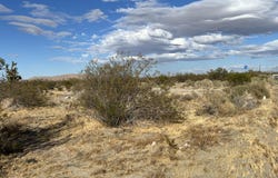 S Ave 115 Ste, Littlerock, CA 93543