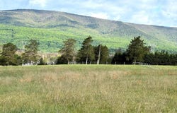 7.4 AC. MOUNTAIN FALLS RD, WINCHESTER, VA 22602