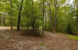 Abbott Mill Road lot: 9-10, Ellijay, GA 30540