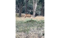 16300 Jungfrau Way, Tehachapi, CA 93561