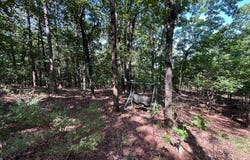 301 Chaparral Lane, Mena, AR 71953