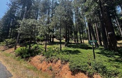 2904 Venado DR, Arnold, CA 95223