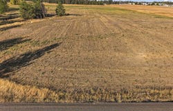 4782 S Abbott Rd, Spokane, WA 99224