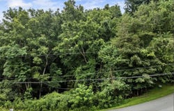 Riverbluff Road, Fairlawn, VA 24141