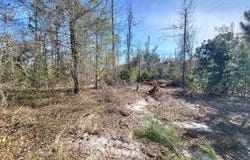 Hwy 90, Sneads, FL 32460