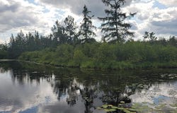 12.55 Acres Juniper Way, Grayling, MI 49738-9199