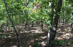 5.7 acres D Highway, Camdenton, MO 65020