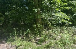 V/L Teal Road, Pellston, MI 49769