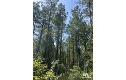Martin Road;, Greensboro, AL 36744