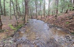 1wp Tennent Rd, Windsor, NY 13865