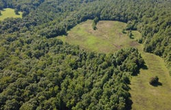 county 1171, Cullman, AL 35057