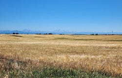 L3 B1 E 1300 N, Ashton, ID 83420