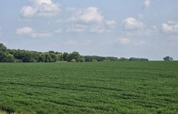 13261 480th Ave, Donnelly, MN 56235