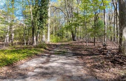 7 Spring Hill, Nissequogue, NY 11780