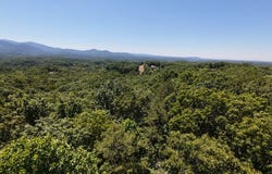 Flagpole Rd, Ellijay, GA 30540