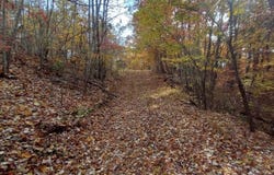1237G High Rock Road, Stanton, KY 40380