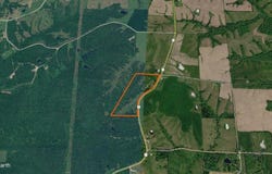 Highway F, Glenwood, MO 63541