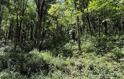 7 Wolfsbane Lane, Todd, NC 28684