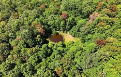 2882 Falling Rock Road, Clendenin, WV 25045