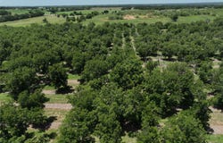 CR 426, Comanche, TX 76442