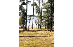 350 CR 364, Broaddus, TX 75929