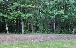 2047 Piper Drive, Lenoir, NC 28645