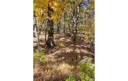 Seneca Road, Mount Pocono Boro, PA 18344
