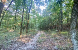 54 Eagle Nest Lane, Hochatown, OK 74728