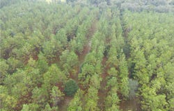 CR 349, OBrien, FL 32071