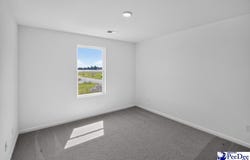 236 DRIZZY DR, FLORENCE, SC 29506