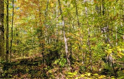 Hwy B, Hunter Twp, WI 54843