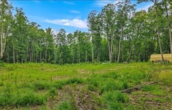 Tommys Ridge, ODD, WV 25902