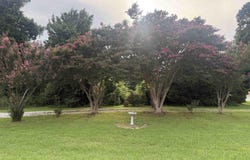 5816 Fairview Rd, Paragould, AR 72450