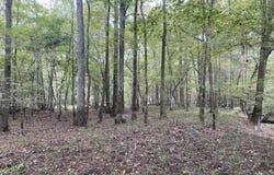 Nova Jean Road, Fordyce, AR 71742