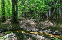 3219 Nugent Road, Frankfort, MI 49635